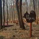 금정역(26167) Daum카페