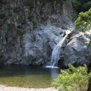 금강산횟집 이미지