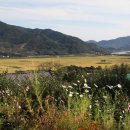 도산면 한퇴마을입구 이미지