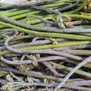 산이래농원 이미지