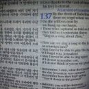 보아치과의원 이미지