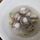 동죽 이미지