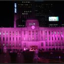 핑크빛 서울시청과 남대문의 야경 이미지