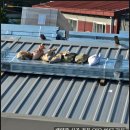 일지 태양광발전소 이미지