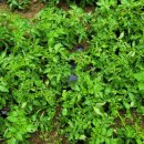 두만농장 이미지