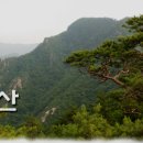 황정리 대흥사 앞 이미지