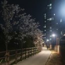 도서관가는길 이미지