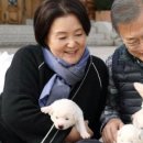 South Korea's Moon Jae-in to give up dogs gifted by Kim Jong-un 이미지