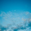 송파내안에의원 이미지