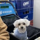 전원아구찜 이미지