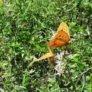 냉천골공원 이미지