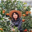 생규농장 이미지