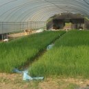 종현농장 이미지