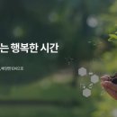 로하스에버