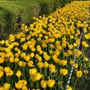 평촌중앙공원 이미지