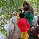 토마토유치원 이미지