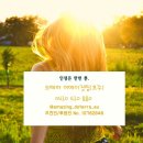 어메이징이스케이프 이미지