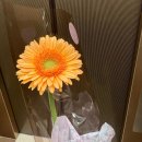 이마트24 김포전류포구점 | 김포 구래동 복부 림프순환 체형관리 예뻐,라 김포본점 예신관리 후기