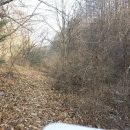 포항시남구16 이미지