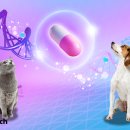 서울수의약품(주) 이미지