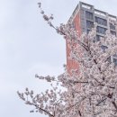 북구청건너 버스정류장 이미지