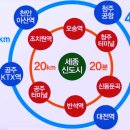 골드리