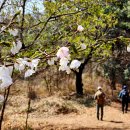 용호1동 체육공원 이미지