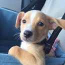 청춘사업 이미지