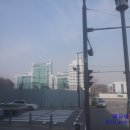 (주)코리아나바이오 이미지