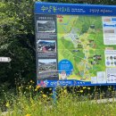 대우꿈나무어린이집 이미지