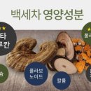 가온비스 이미지