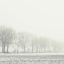 남도 술상 이미지