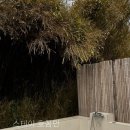 스테이 호꼼만 이미지