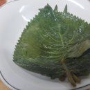 오리탕세상