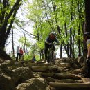 정각2교 이미지