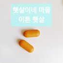 아침햇살약국 | 치아건강 칼슘 영양제 햇살이네 마을 이튼 햇살