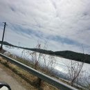 진서중학교 | 아이와 떠난 진주 벚꽃 여행, 예기치 못한 실망의 코스들!(벚꽃개화현황)