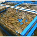 대천항수산시장 이미지