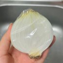 휴락 진공밀폐용기 내돈내산 3주 사용후기(비교샷 있음)