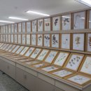 영남대학교자연박물관 이미지