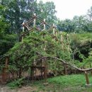 종로-종로-종로-종-256 이미지