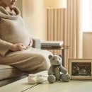 스테이라네 이미지