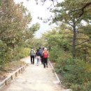 저스트애즈 이미지