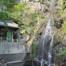 육일목장 이미지