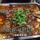 향어시대 이미지