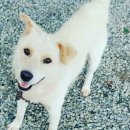 복주경매장 이미지