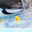 돌핀블루 이미지