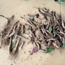 방가산농장 이미지