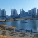 허그포레스트