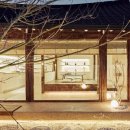 슈가몽 544 이미지